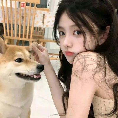 大象与犀牛的战争